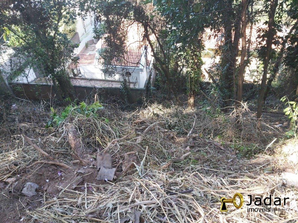 Imagem da propriedade 1