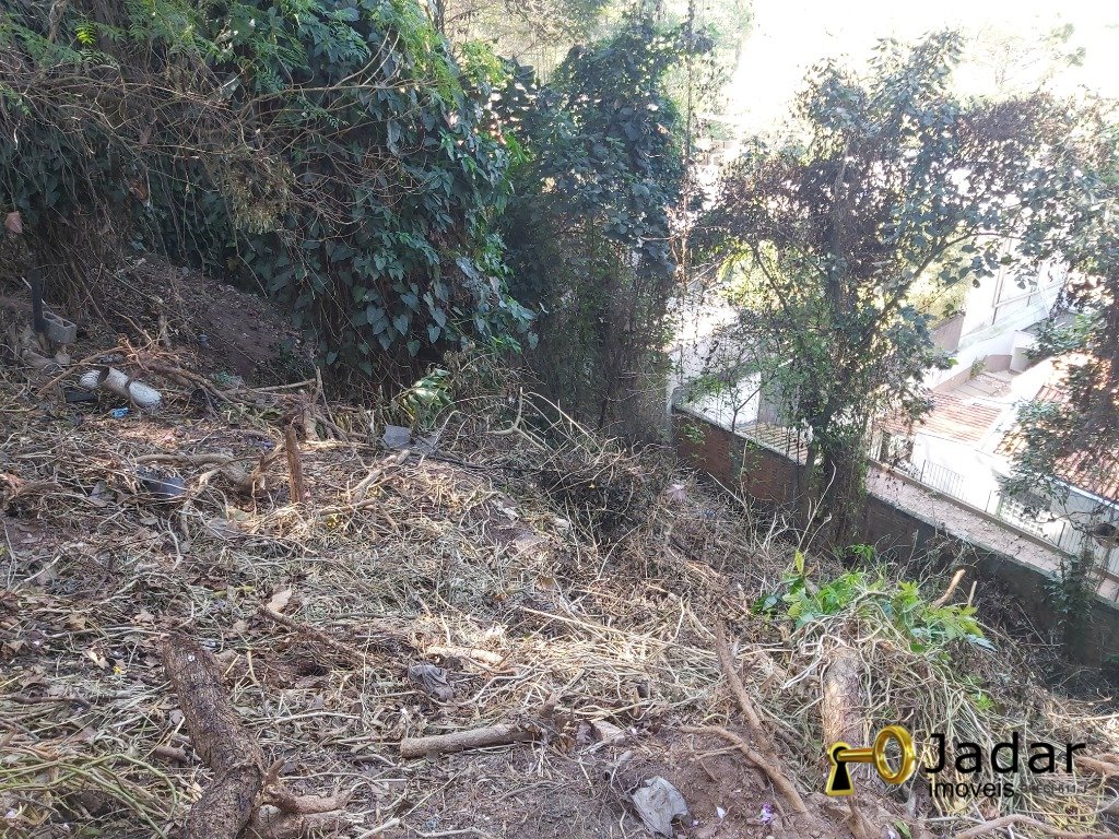 Imagem da propriedade 3