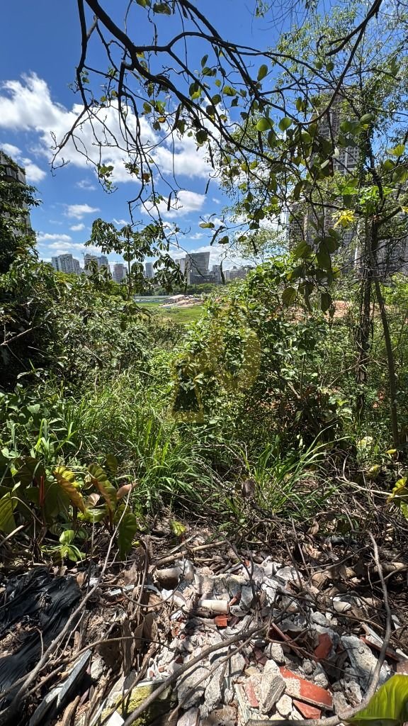 Imagem da propriedade 4