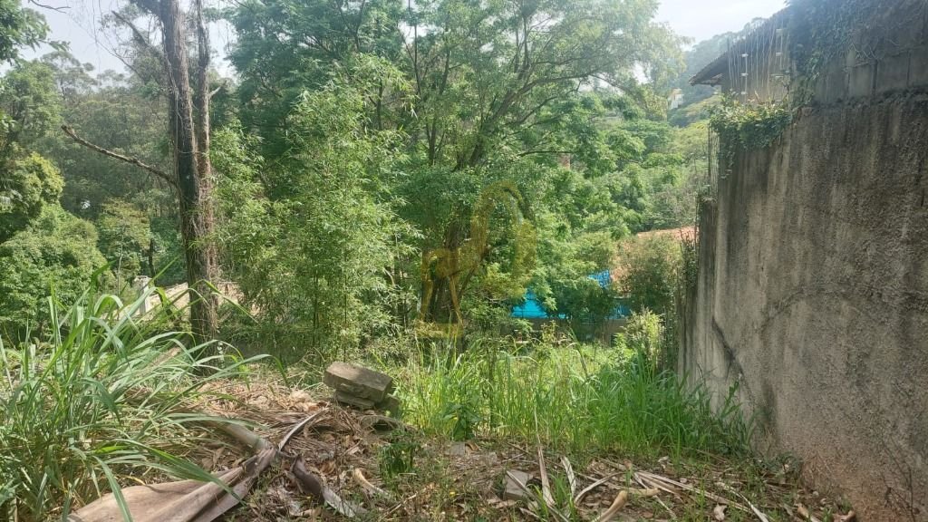 Imagem da propriedade 3