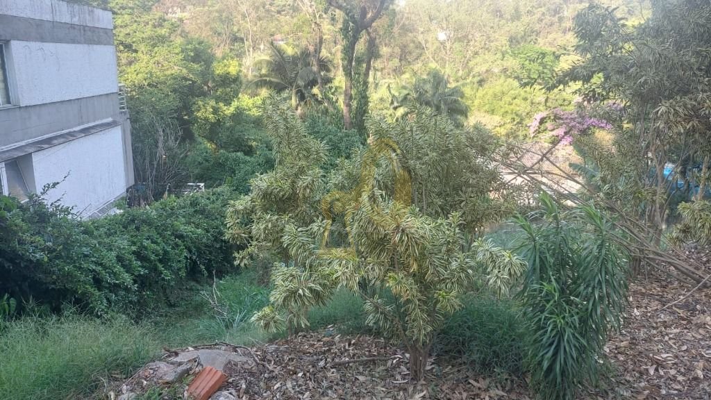 Imagem da propriedade 4