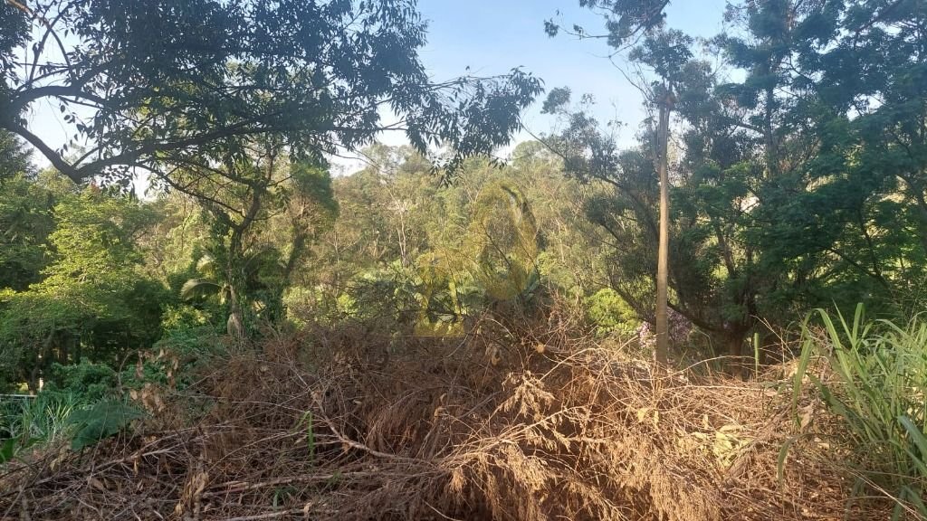 Imagem da propriedade 5