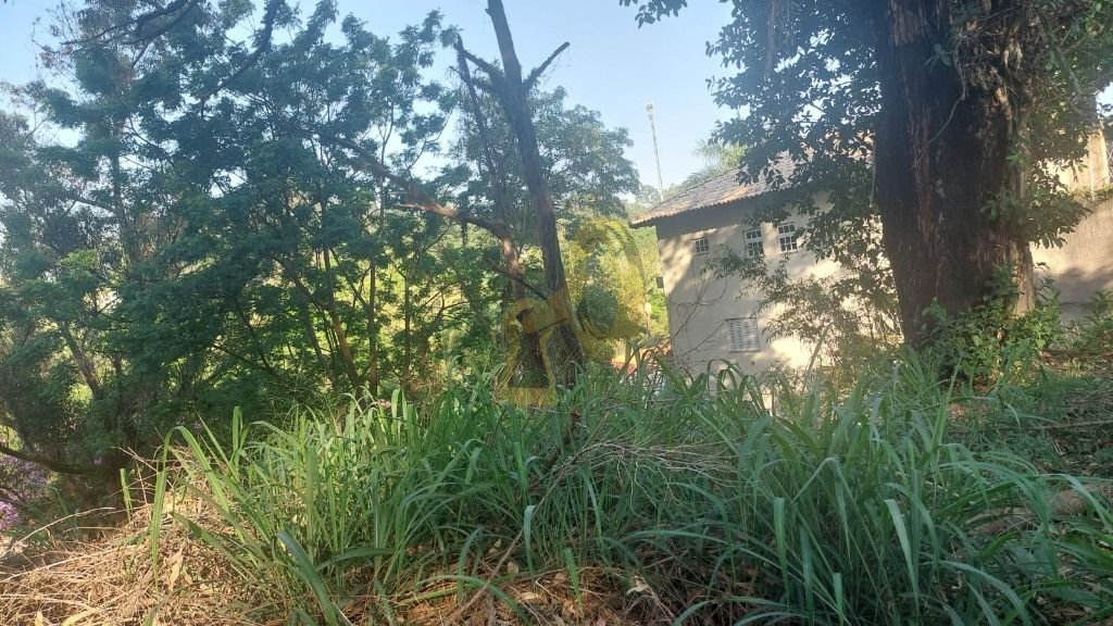 Imagem da propriedade 6