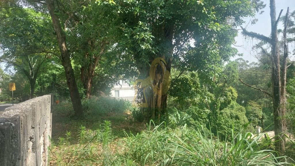 Imagem da propriedade 7