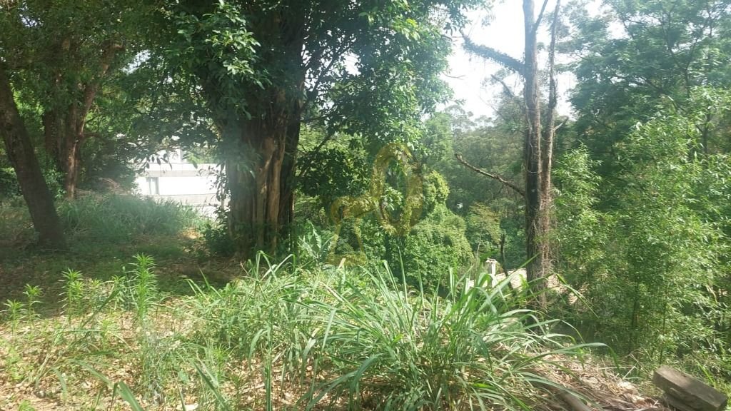 Imagem da propriedade 8