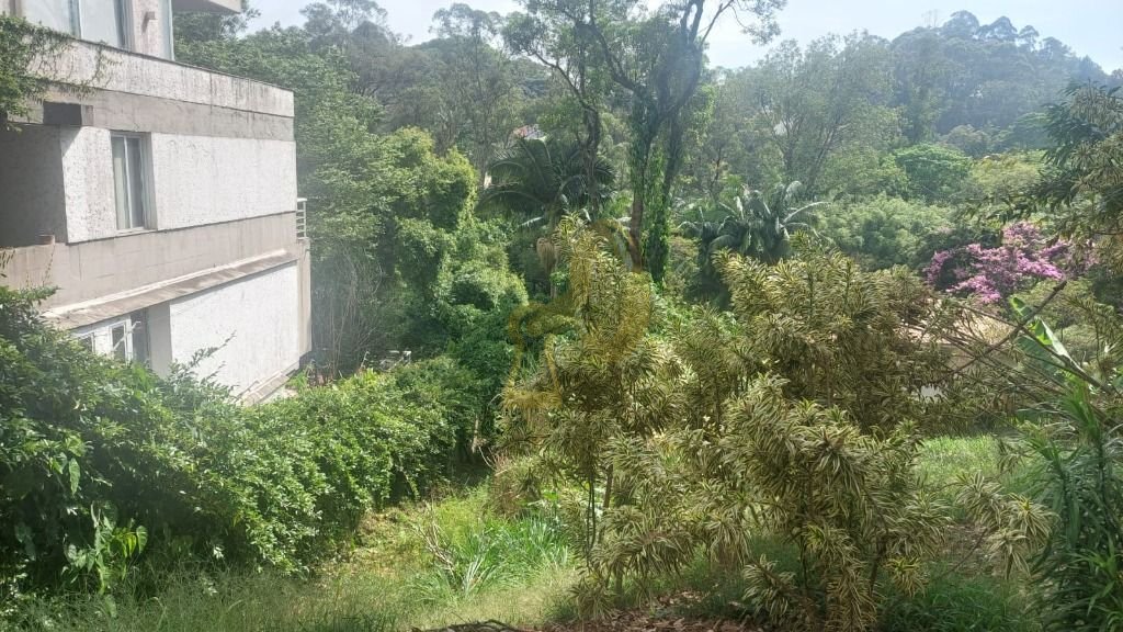 Imagem da propriedade 9