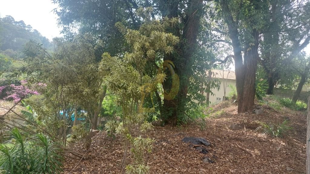 Imagem da propriedade 10