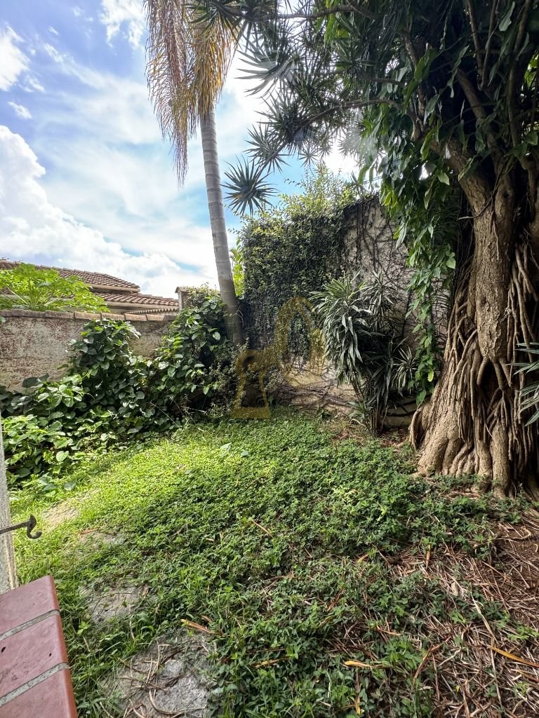 Imagem da propriedade 7