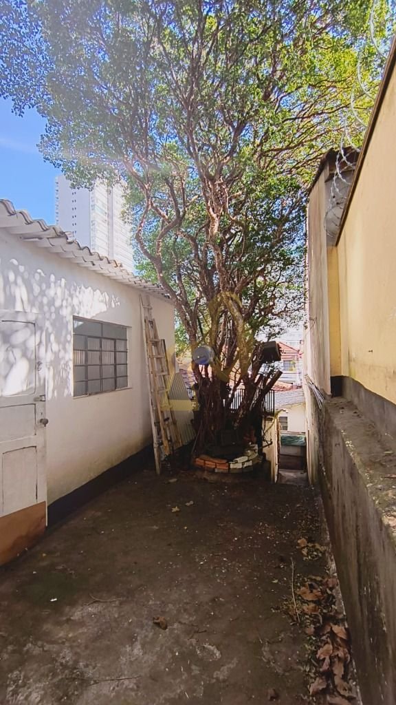 Imagem da propriedade 11