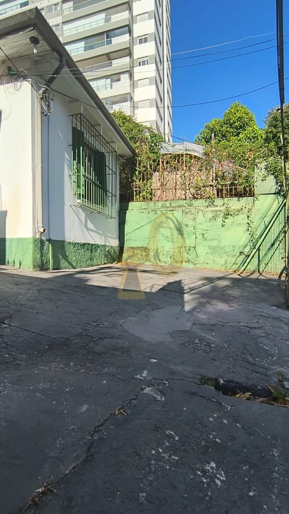 Imagem da propriedade 13