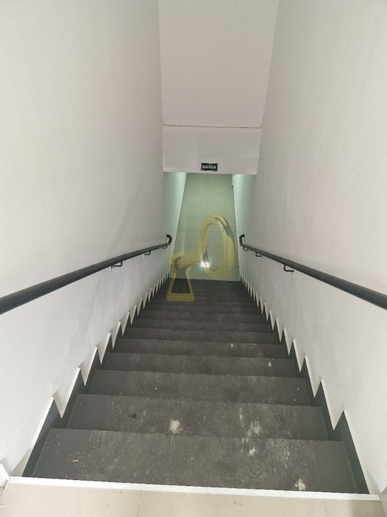 Imagem da propriedade 10