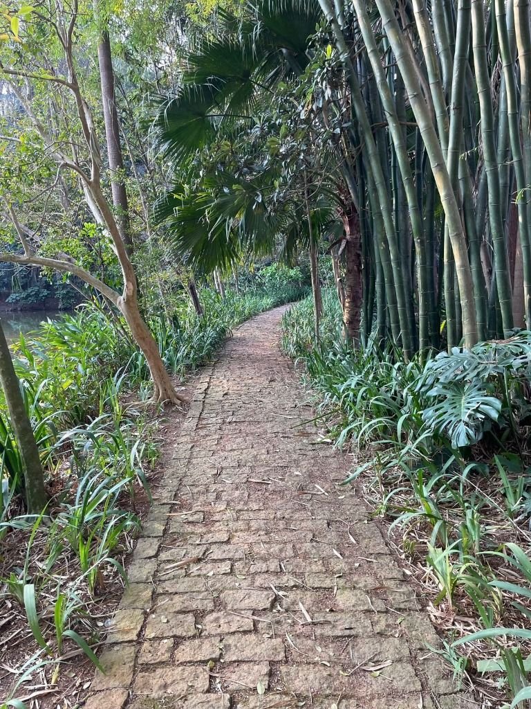 Imagem da propriedade 6