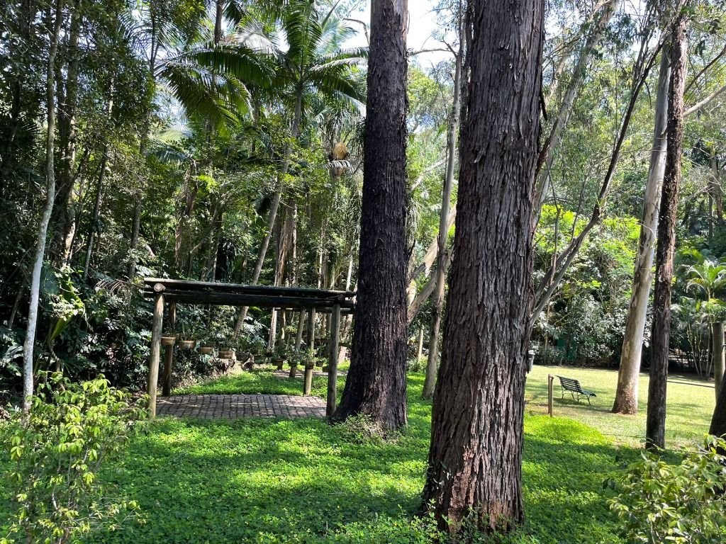 Imagem da propriedade 11