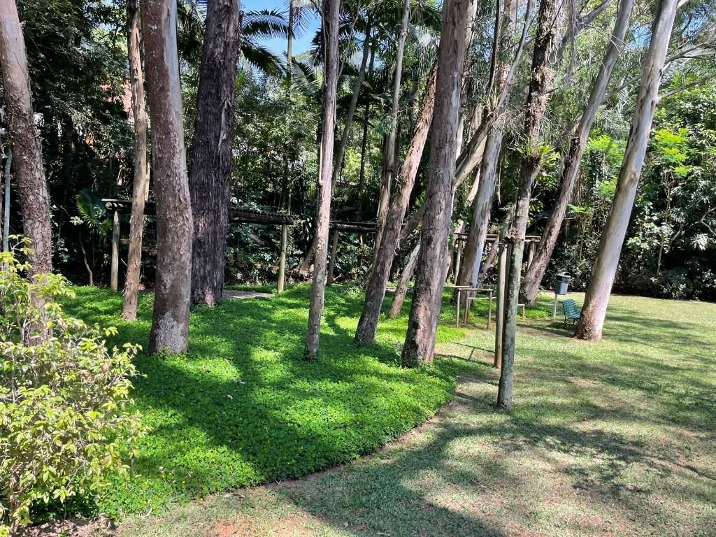 Imagem da propriedade 12