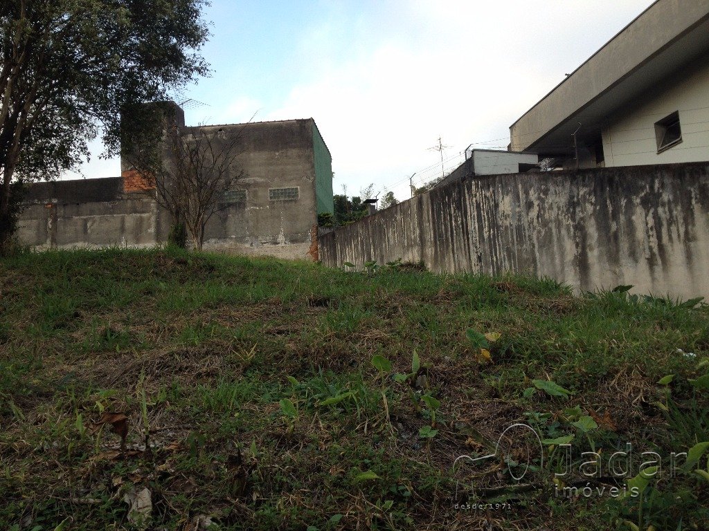 Imagem da propriedade 3