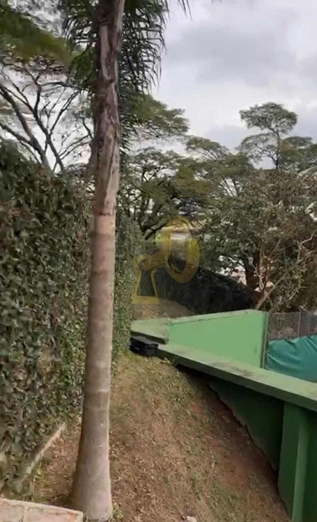 Imagem da propriedade 5