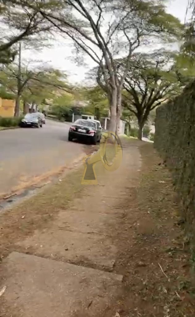 Imagem da propriedade 7