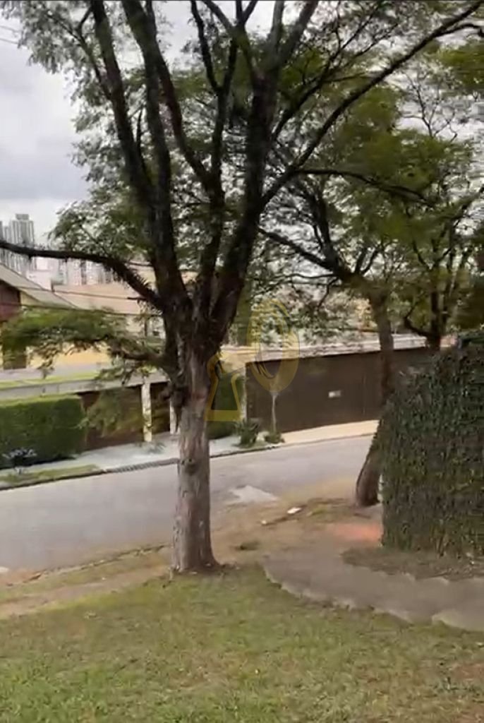 Imagem da propriedade 11