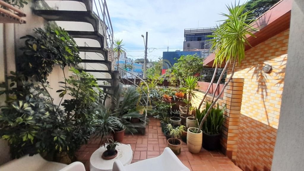 Imagem da propriedade 15