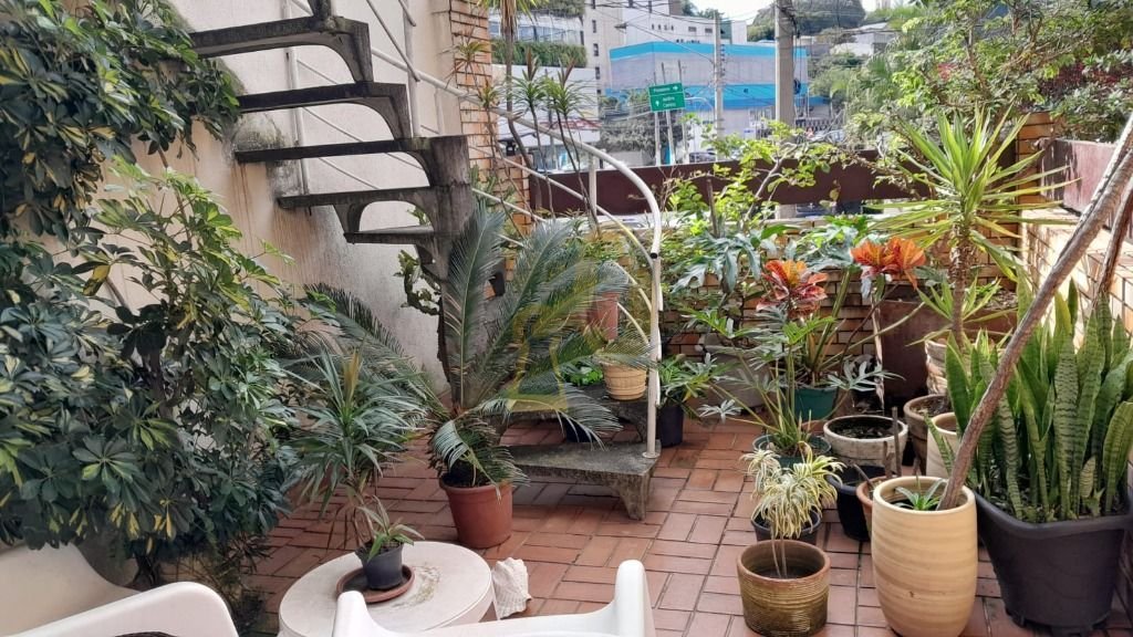 Imagem da propriedade 8