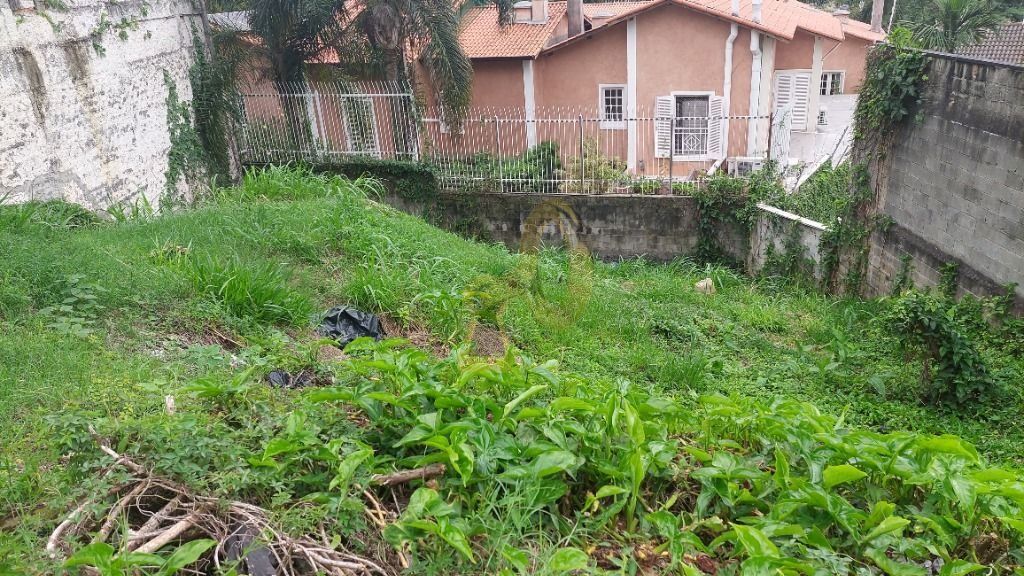 Imagem da propriedade 3