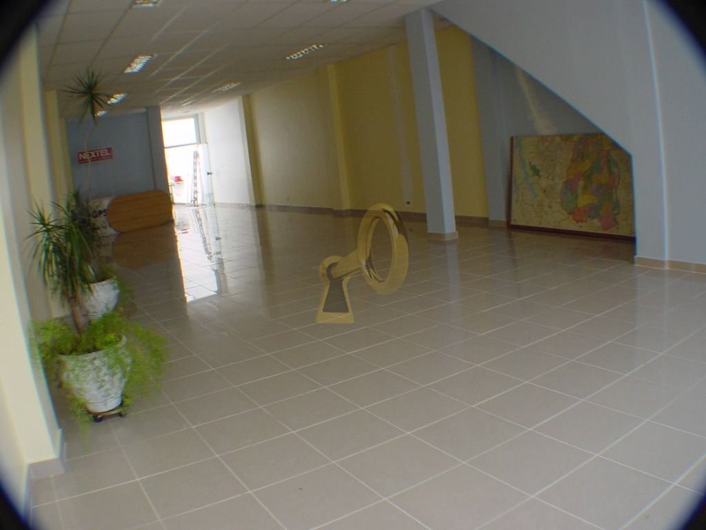 Imagem da propriedade 3
