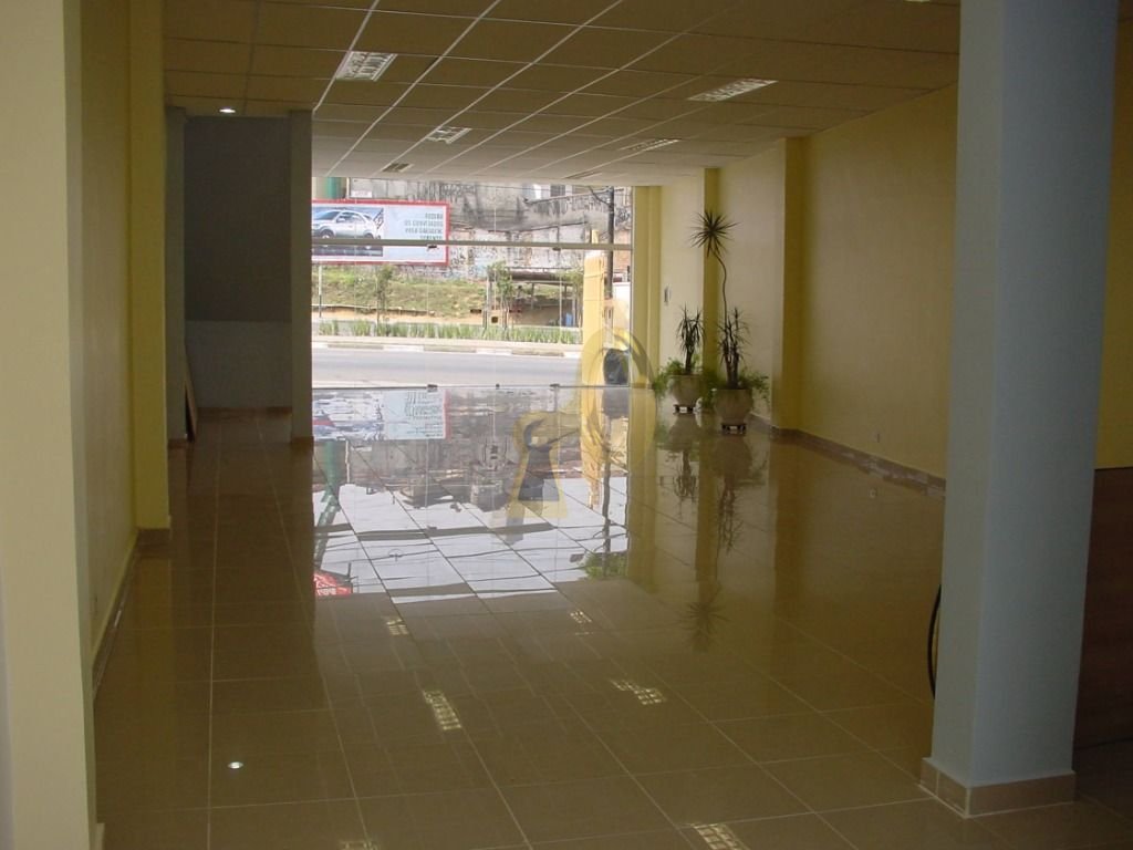 Imagem da propriedade 5