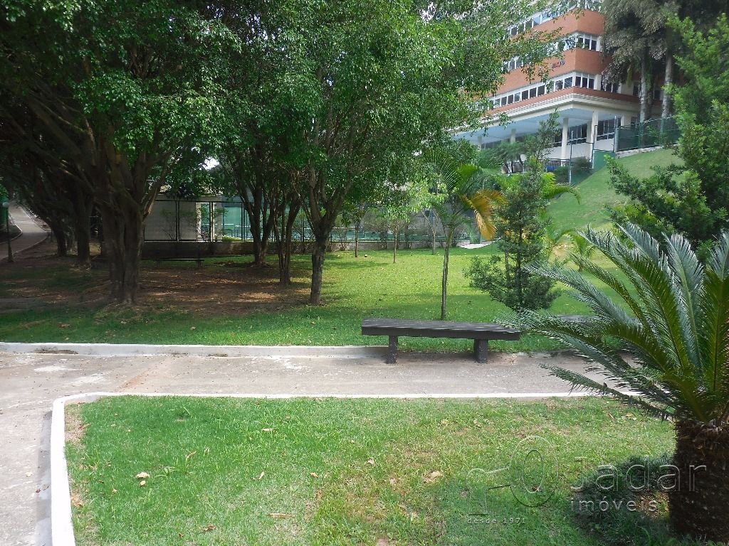 Imagem da propriedade 25