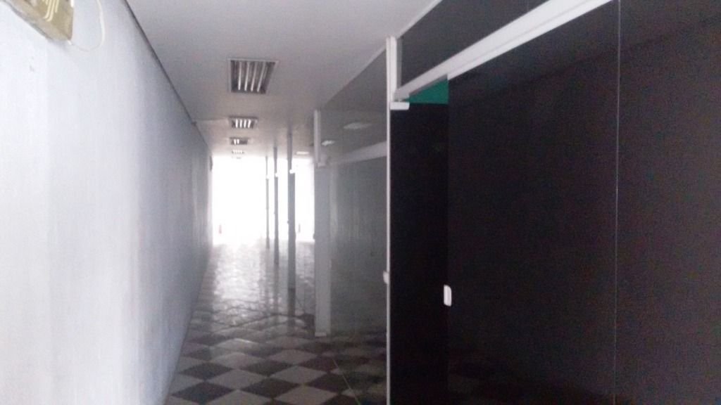 Imagem da propriedade 6