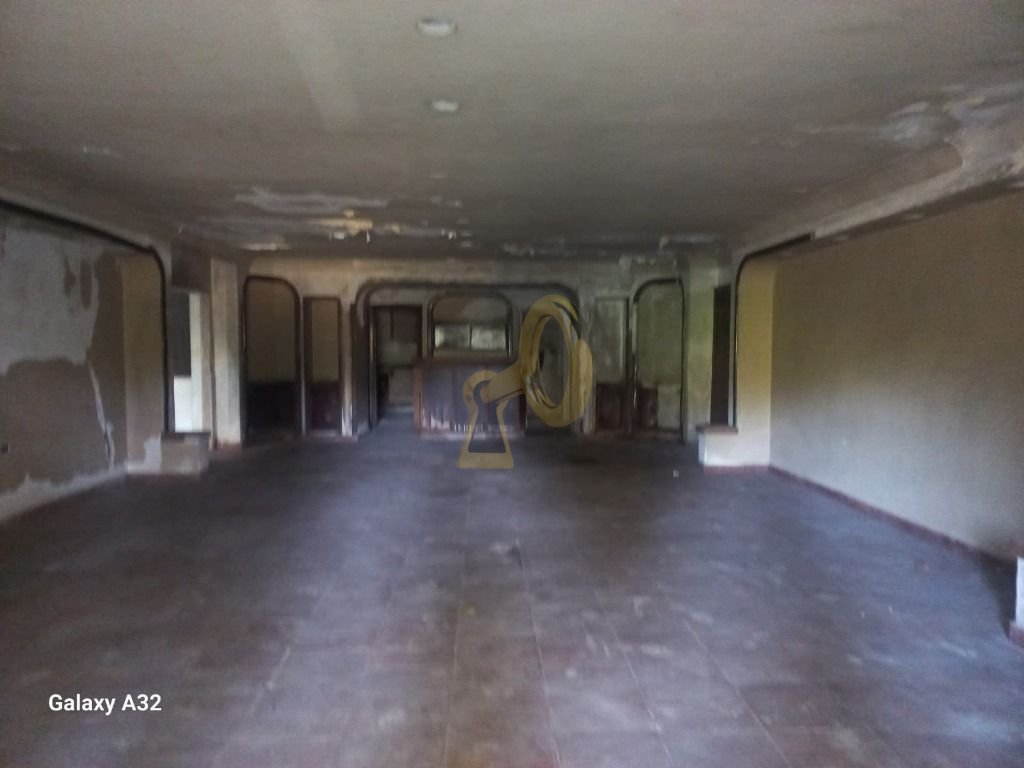 Imagem da propriedade 3