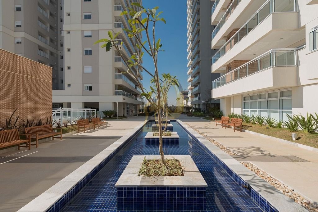 Imagem da propriedade 18