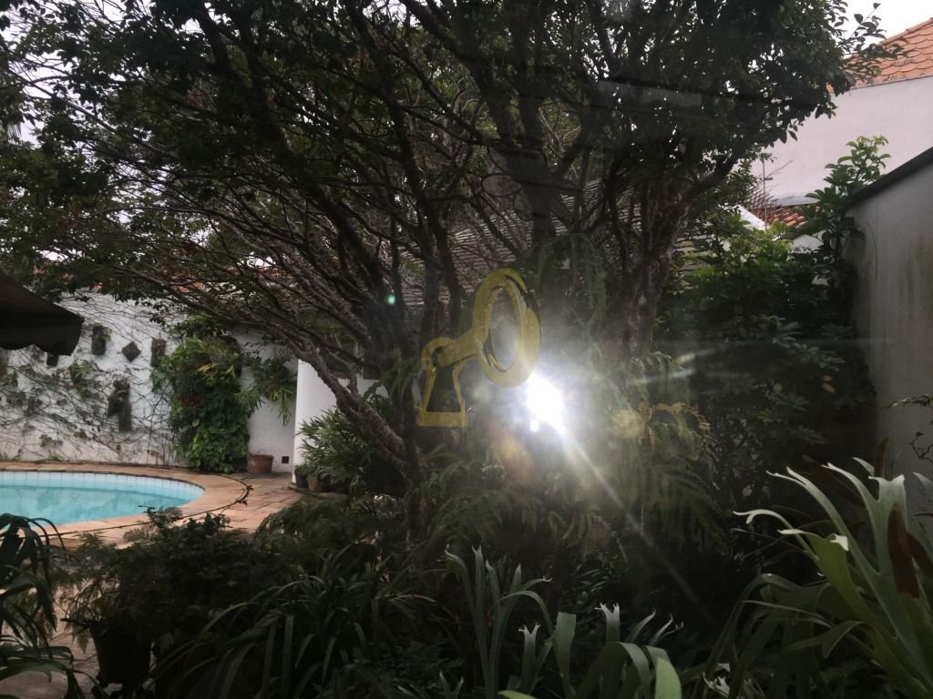 Imagem da propriedade 8