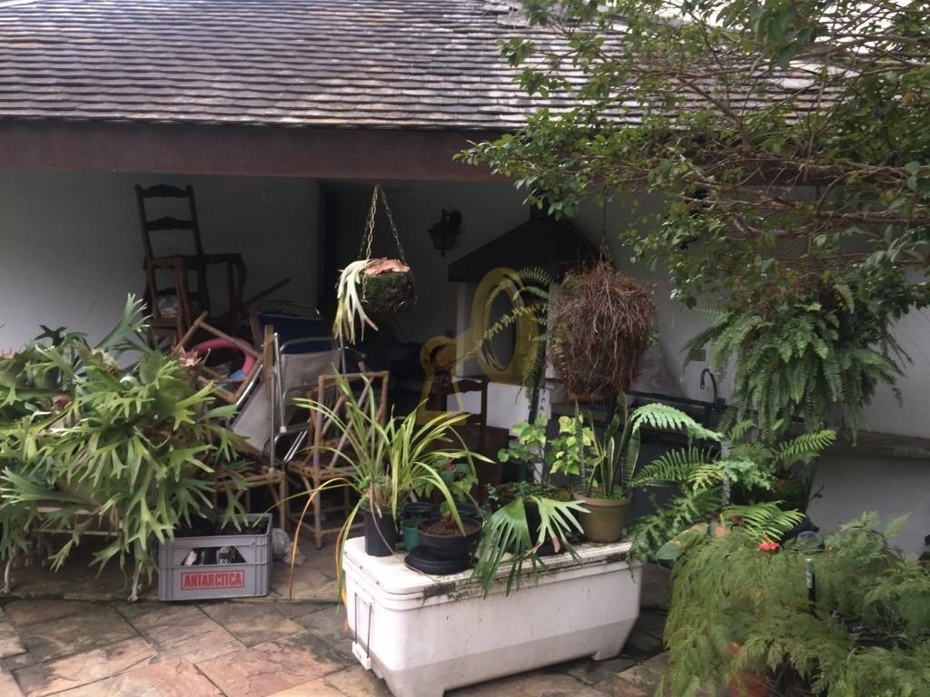 Imagem da propriedade 6