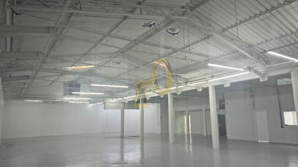 Imagem da propriedade 6