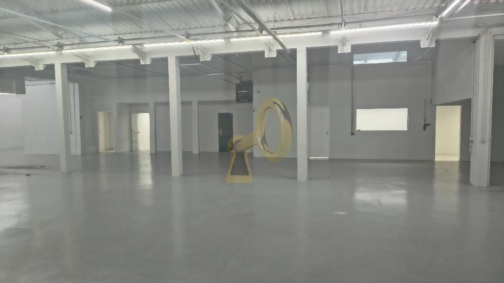 Imagem da propriedade 7