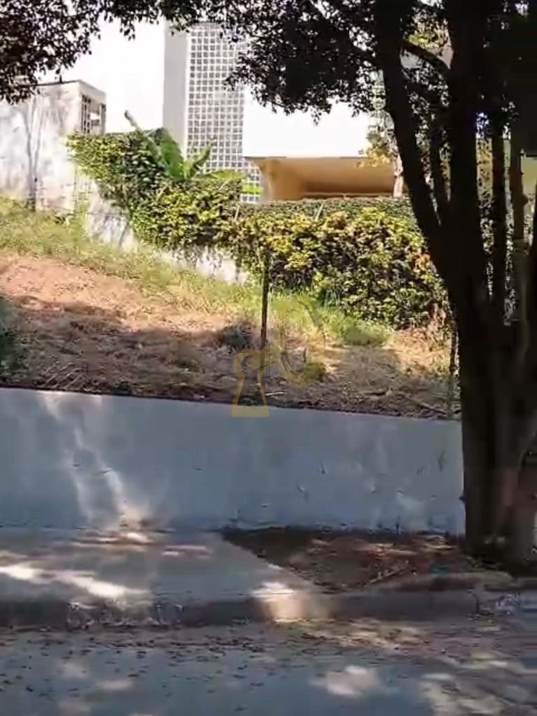 Imagem da propriedade 3