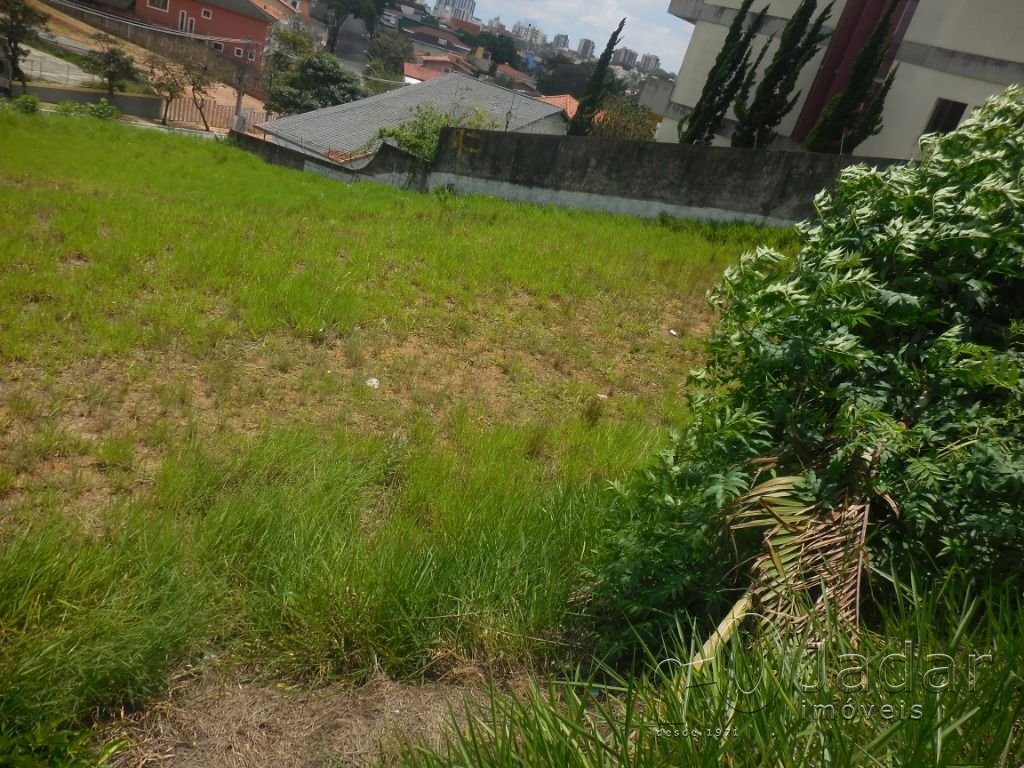 Imagem da propriedade 3
