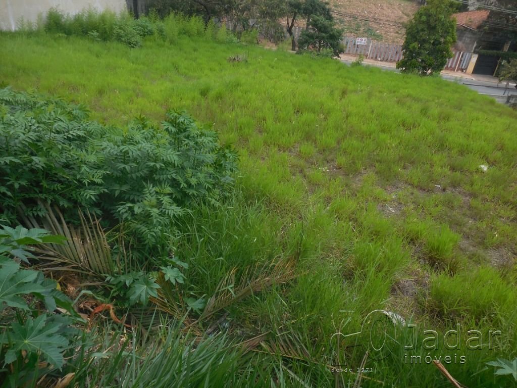 Imagem da propriedade 4