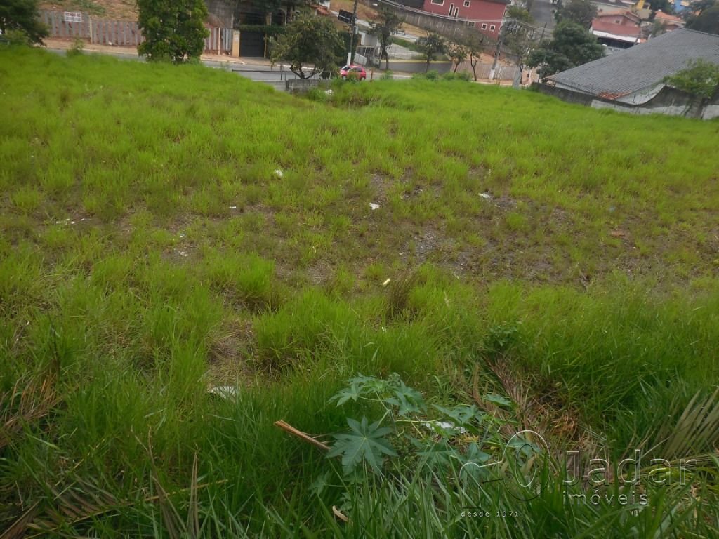 Imagem da propriedade 5