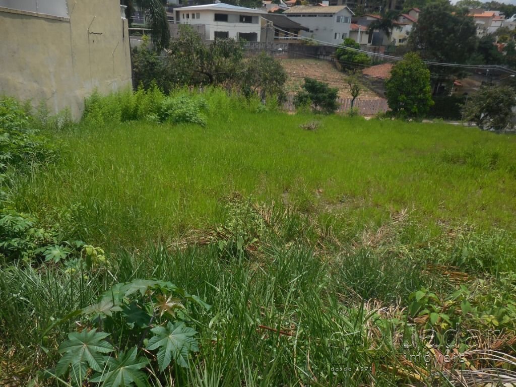 Imagem da propriedade 6