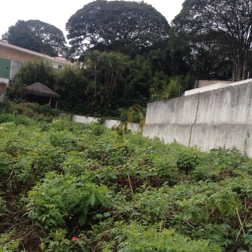 Imagem da propriedade 3