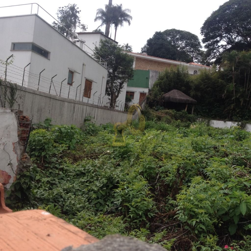 Imagem da propriedade 4