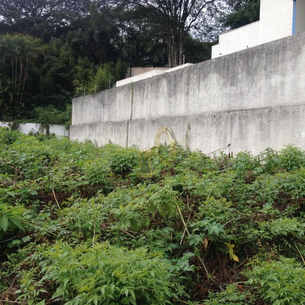 Imagem da propriedade 5