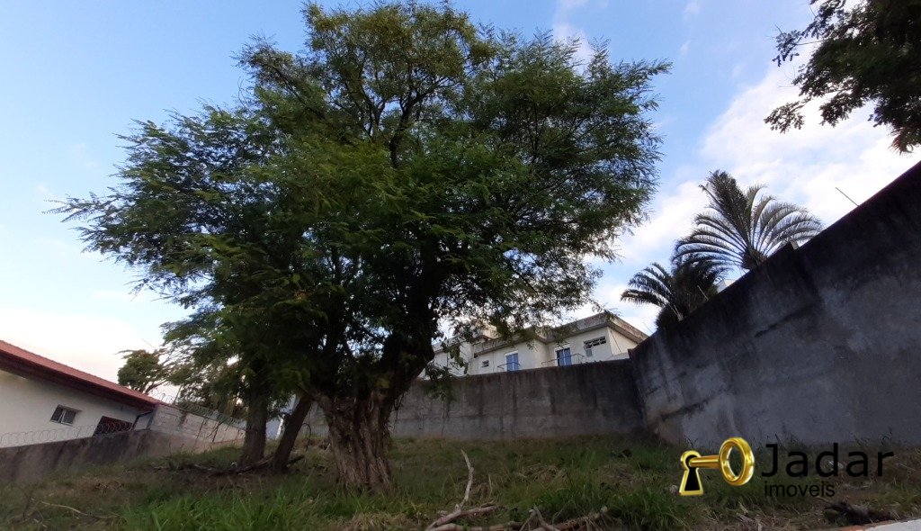 Imagem da propriedade 5