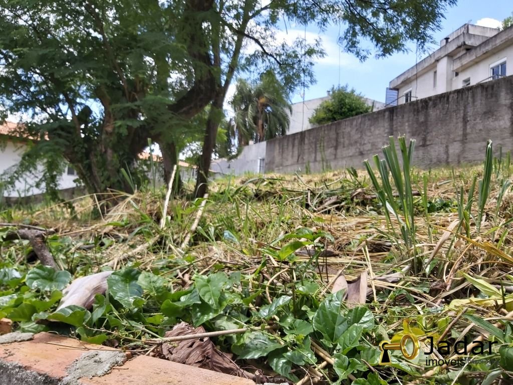 Imagem da propriedade 2