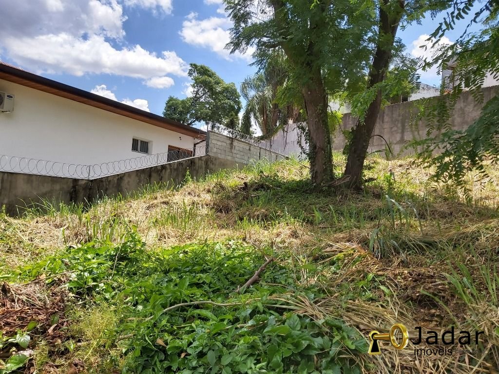 Imagem da propriedade 3