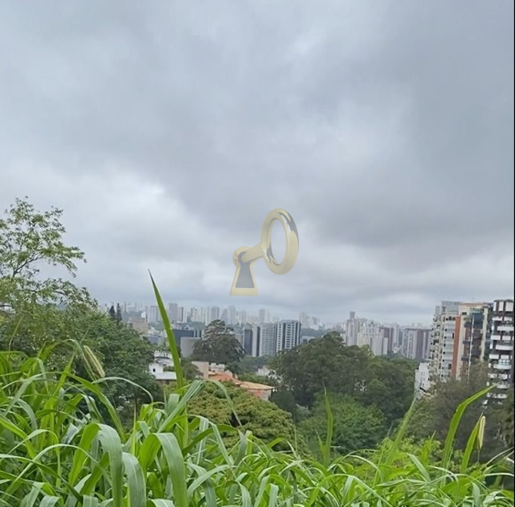 Imagem da propriedade 4