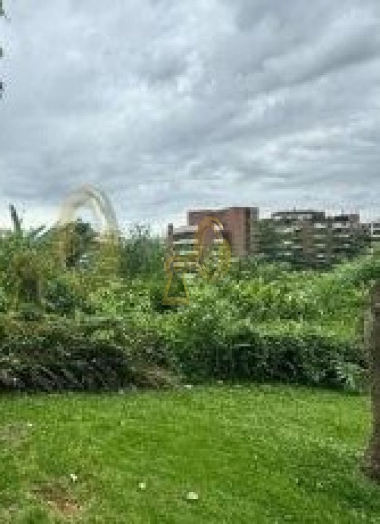 Imagem da propriedade 5