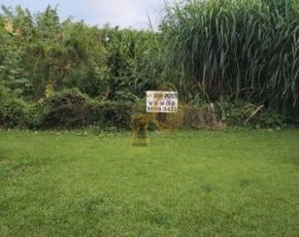 Imagem da propriedade 6