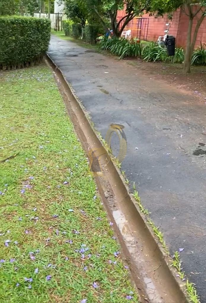 Imagem da propriedade 9